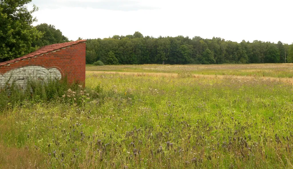 Evenser Moor mit Wiese