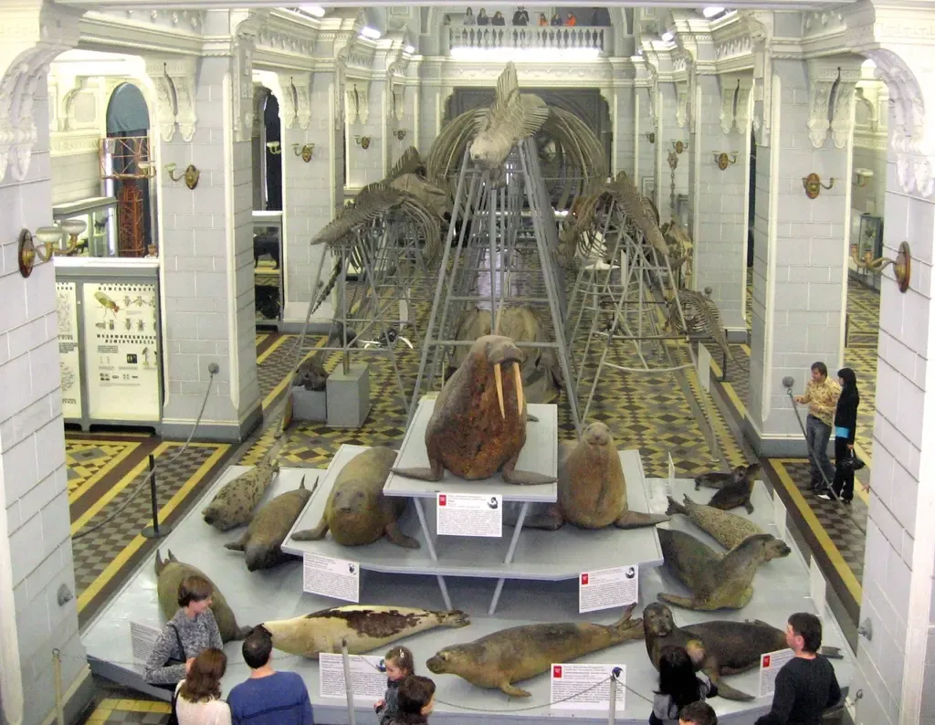 Zoological Museum of the Zoological Institute of the Russian Academy of Sciences