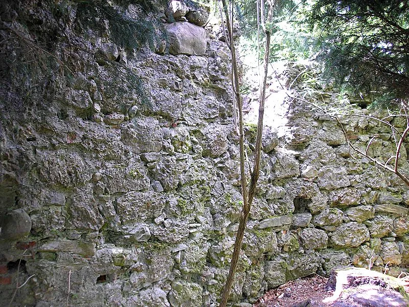 Burg Rauhlaubenberg bei Immenstadt im Allgäu (Landkreis Oberallgäu, Bayerisch-Schwaben). Rest der Ringmauer im Südwesten. Eigene Aufnahme, Mai 2008 / Rauhlaubenberg castle near Immenstadt im Allgäu (Landkreis Oberallgäu, Bavaria, Germany). Remainings of the south western castle walls. Own photo, May 2008