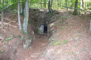 Fledermauswinterquartiere in der südlichen Frankenalb
