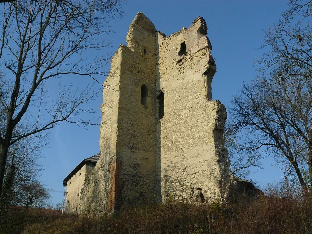 Dražice Castle