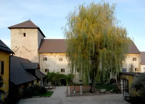 Herzogsburg St. Veit an der Glan