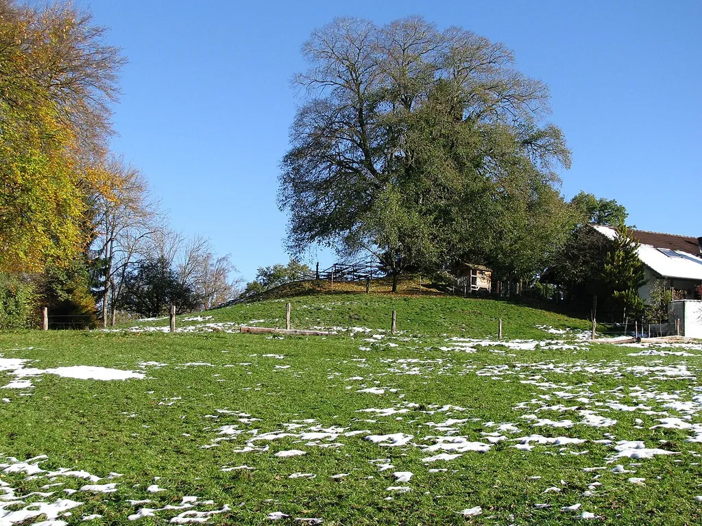 Der Schanzberg bei Eulenschwang, Ort einer vermuteten mittelalterlichen Burg.