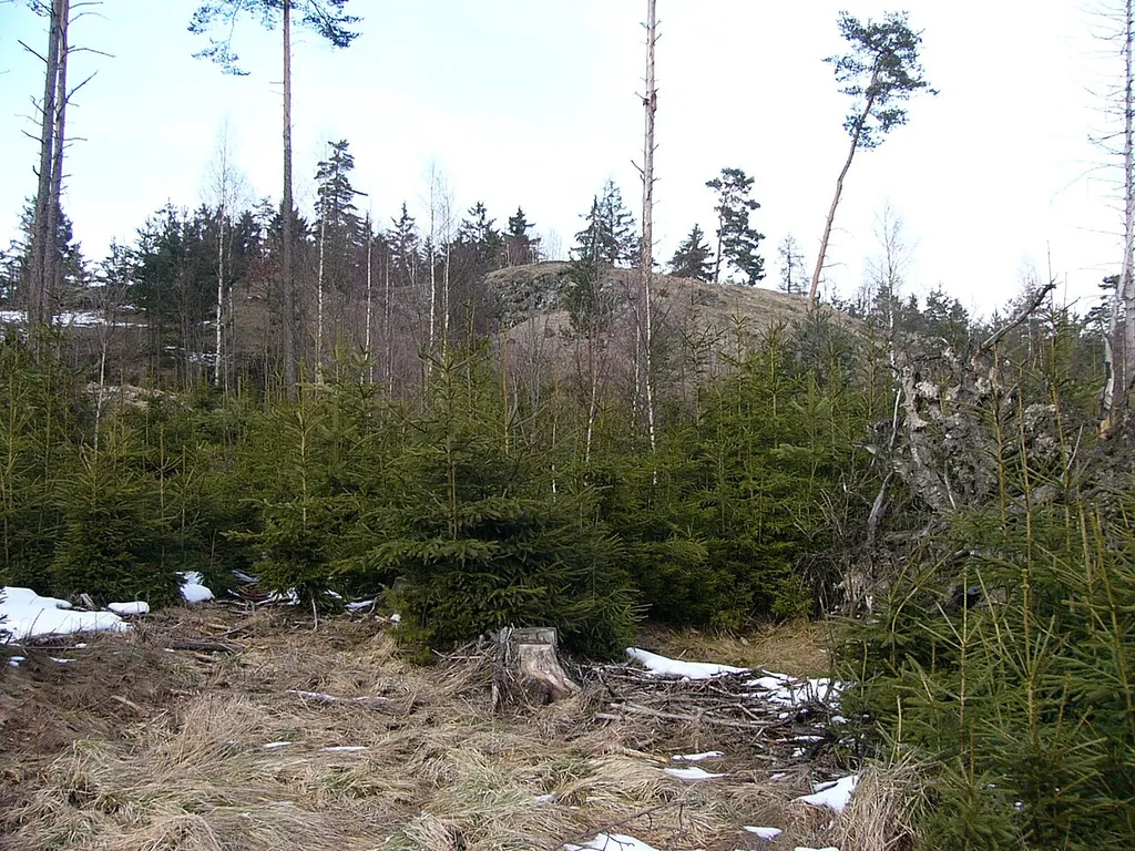Plateau der Anlage Haideck von Süden