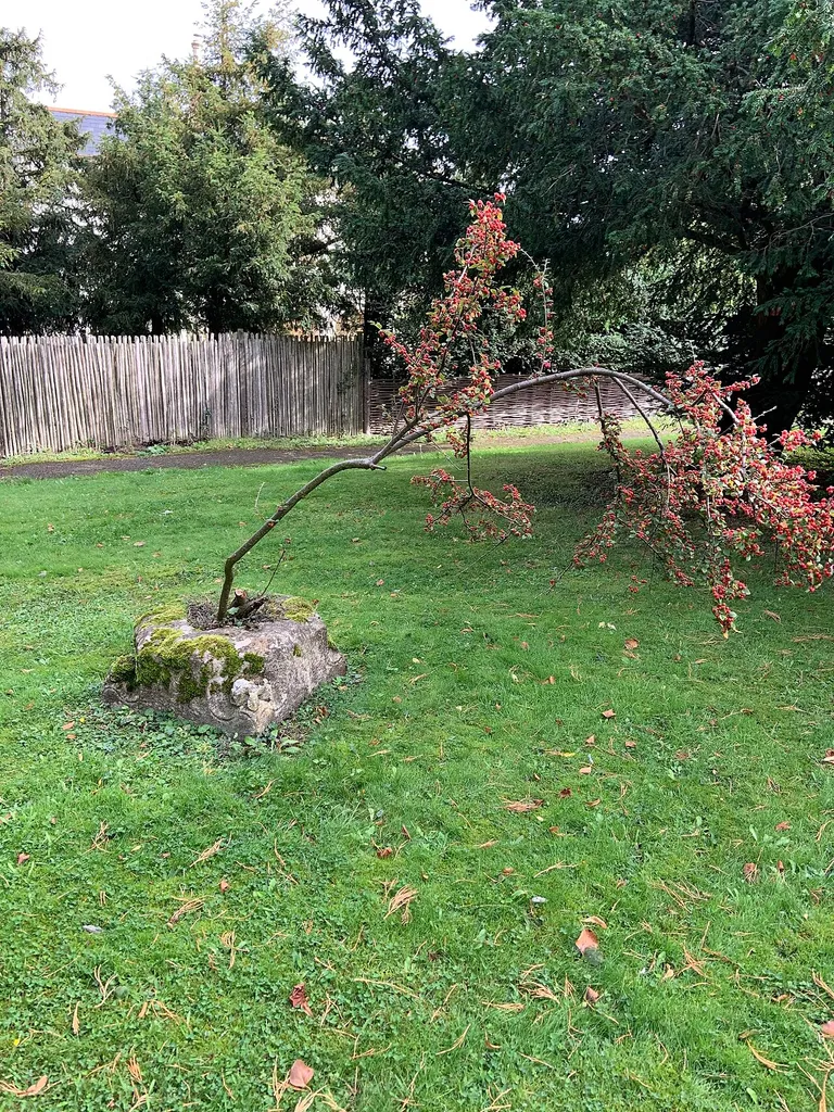 base of a medieval cross in Little Gransden churchyard, Cambridgeshire