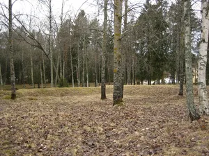 Liinmaa Castle
