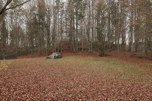 Burgstall Altes Schloss (Affalterthal)