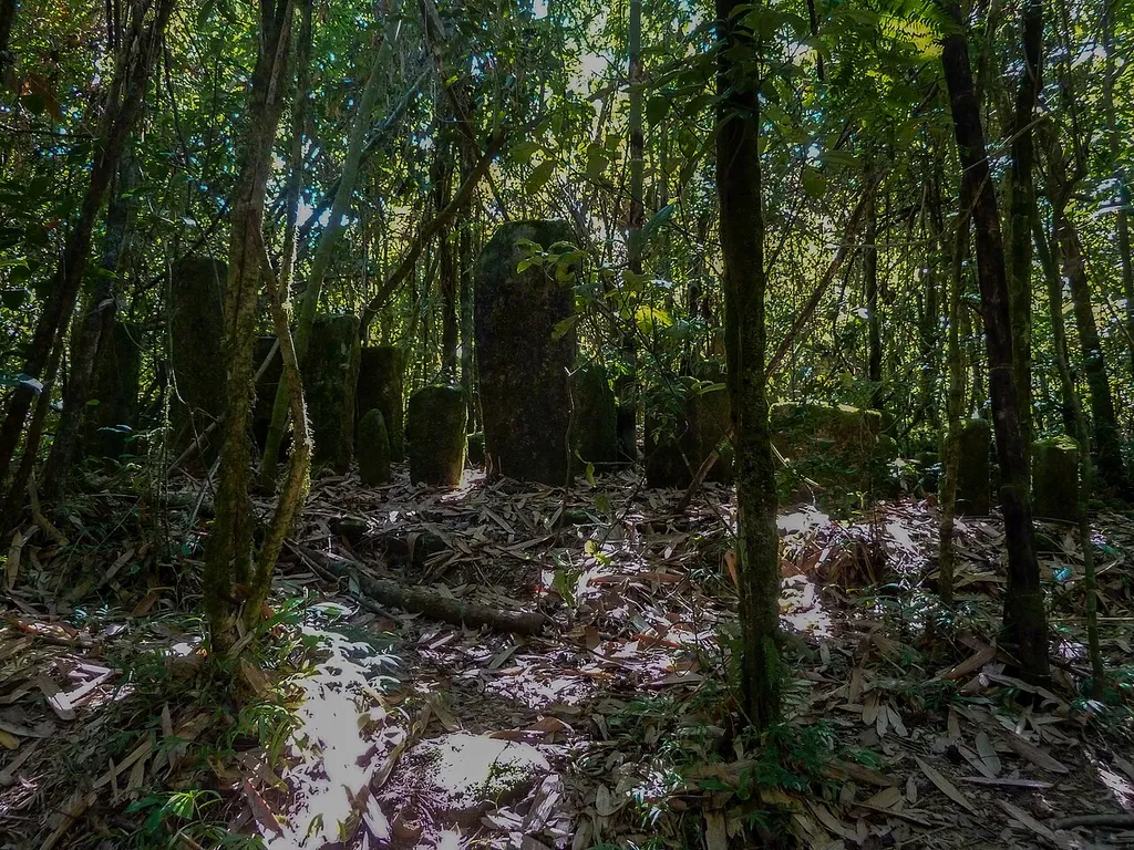 Voormalige gedenkplaats voor de overledenen van de Betsileo in het nationaal park Ranomafana