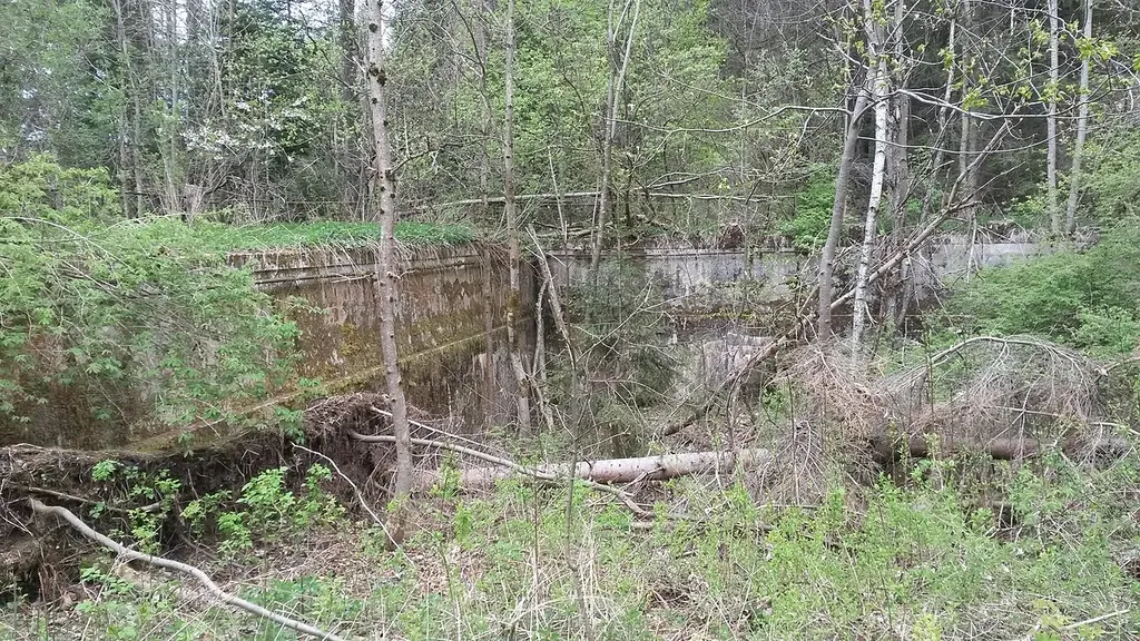 Ruine des Alpenstrandbades Semmering (Österreich): Großes Schwimmbecken, Blick aus Ost.