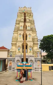 Tanuku