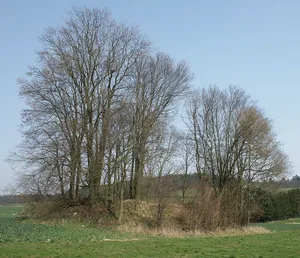 Burg Altwehrda
