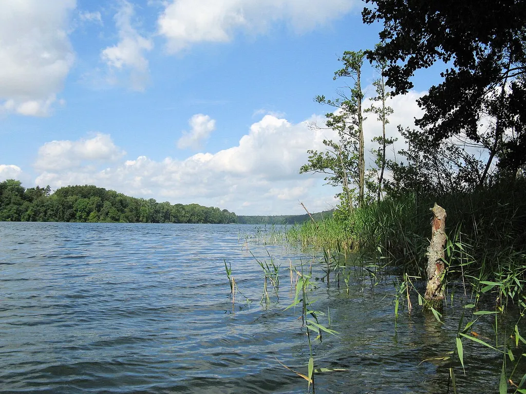 Lake Neumühler See from nothern shore at Friedrichsthal in Schwerin, Mecklenburg-Vorpommern, Germany