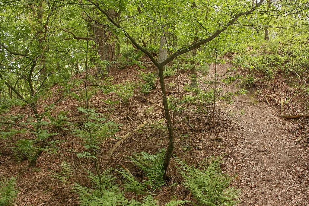 Der Nordwall der Wekenborg