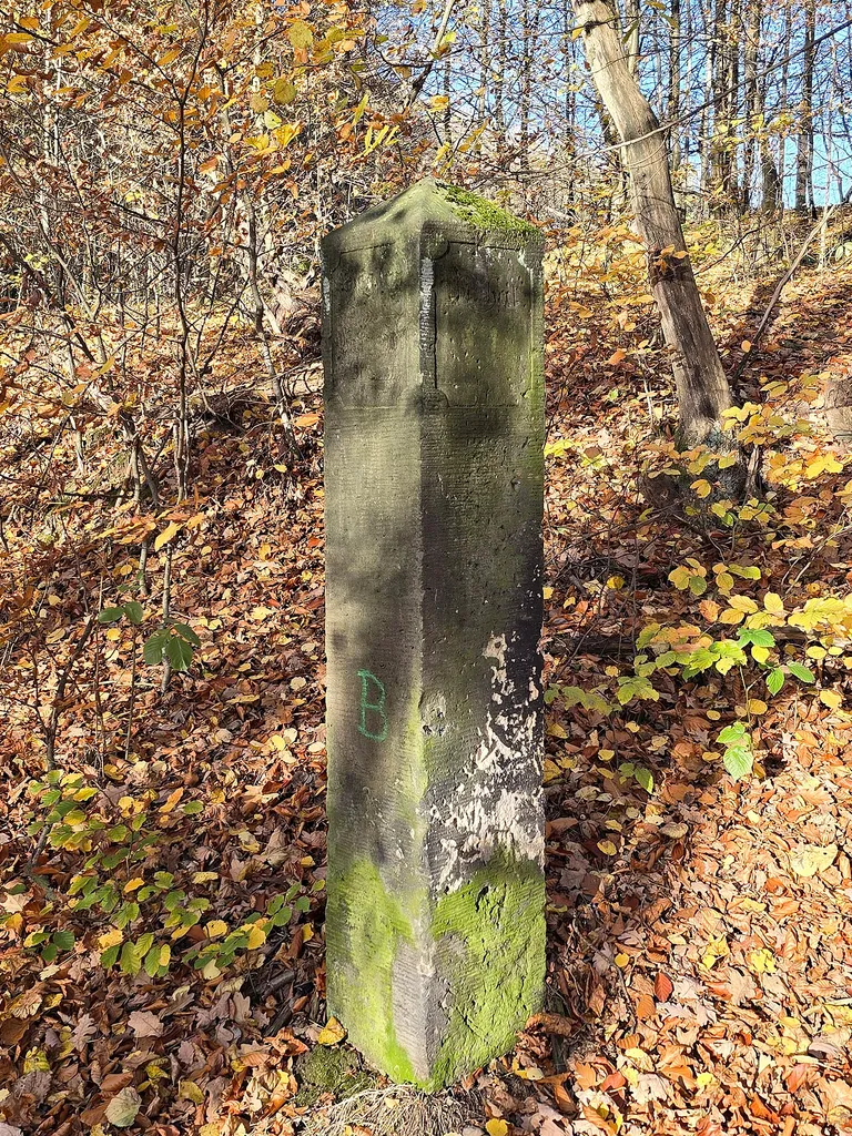 Historical signpost near Ebenheit (Königstein); location: track to Halbestadt, junction to Ebenheit