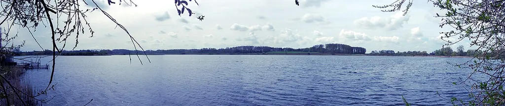Scharsee