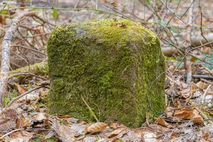 Grenzstein Fürther Stadtwald in Fürth