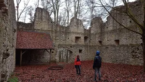 Burgruine Steinhart