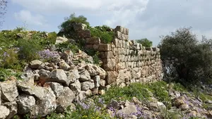 Keren Naftali Castle