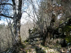 Burg Löwenstein