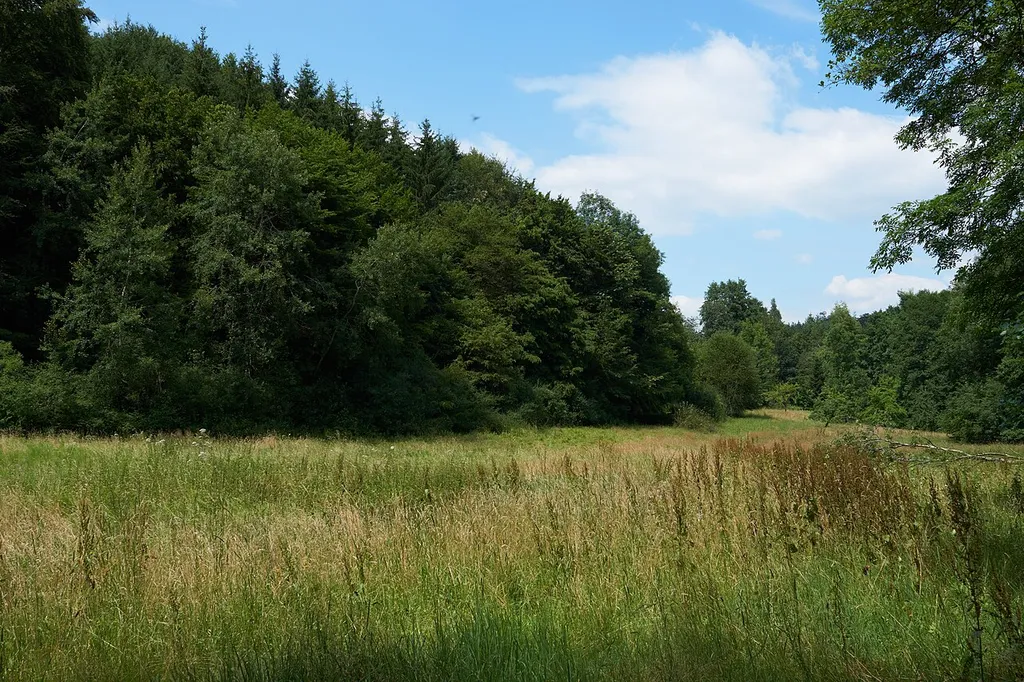 Slope with springs in Weinstadt, Baden-Württemberg, Germany; natural monument