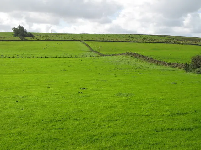 (The site of) Milecastle 47 (2), near to Greenhead, Northumberland, Great Britain.