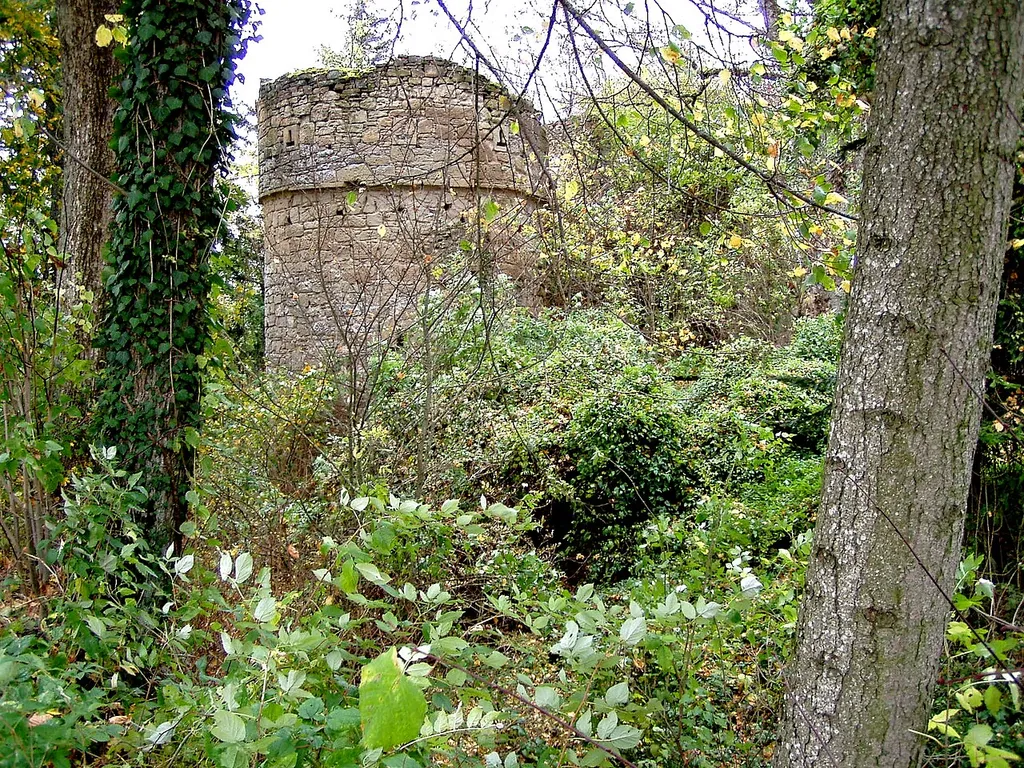 Burgruine Hinterfrankenberg