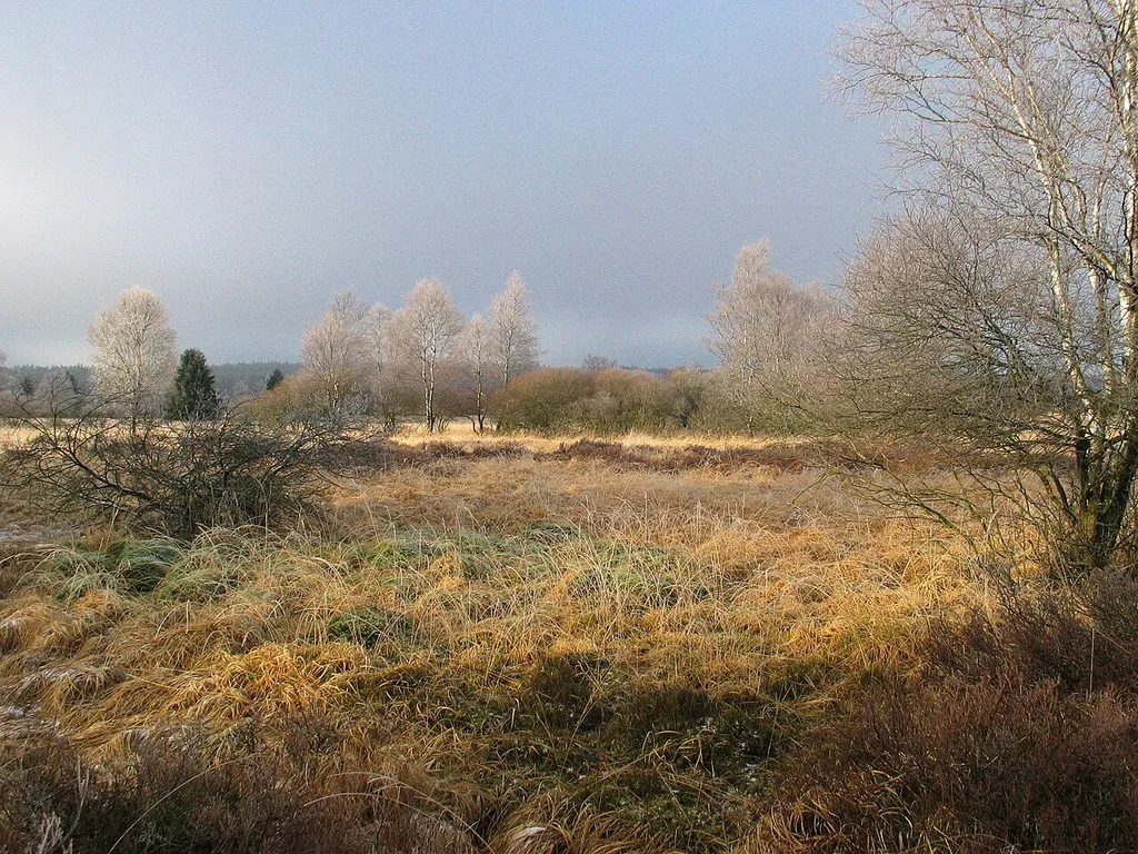 High Fens – Eifel Nature Park