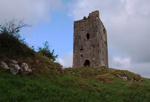 Rockstown Castle