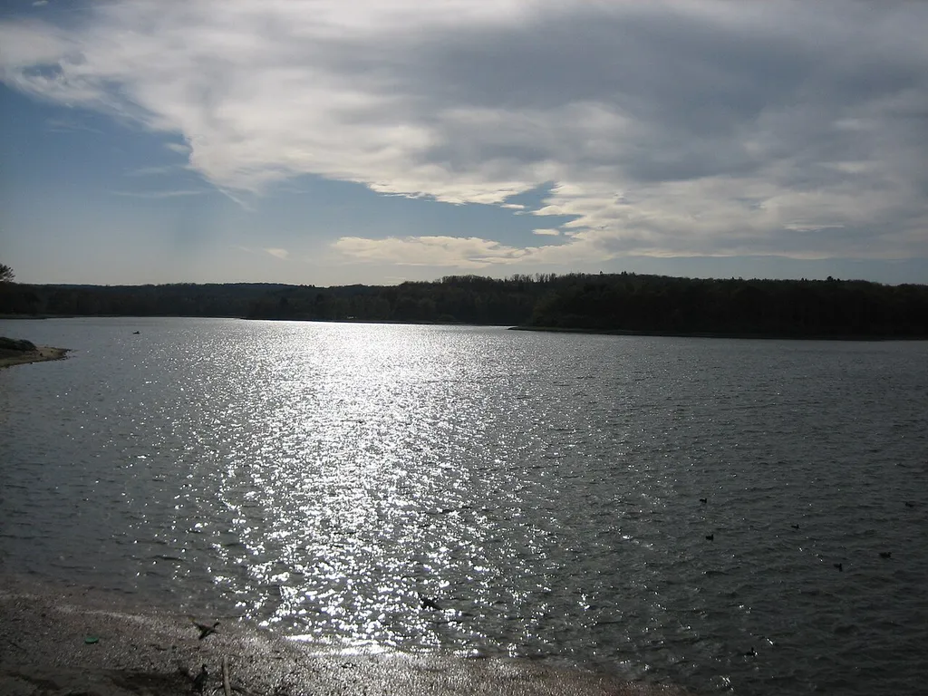 Partial view of the artificial lake located in Bouzey (France)