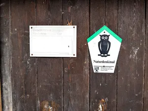protected bat roost at Goseck Castle