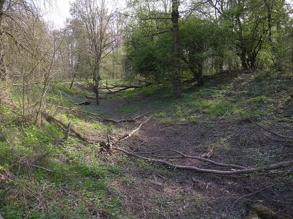 Burg Waldeser