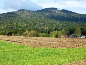 Oberer Bayerischer Wald