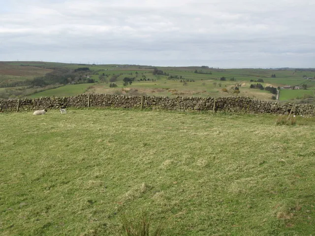 (The site of) Milecastle 46 (Carvoran)