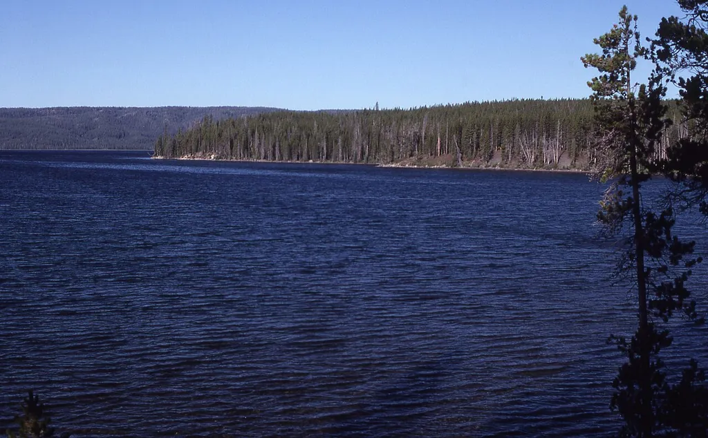 Shoshone Lake in Yellowstone National Park (1989)