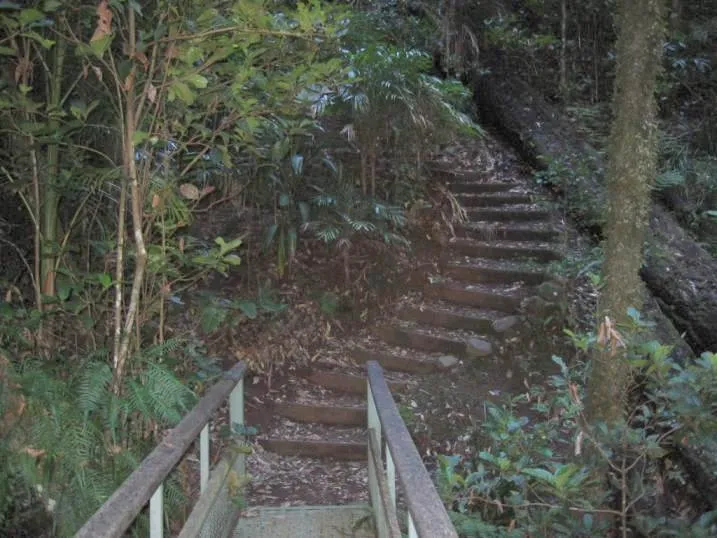 Trail through Richmond Range National Park. Photo taken by myself.