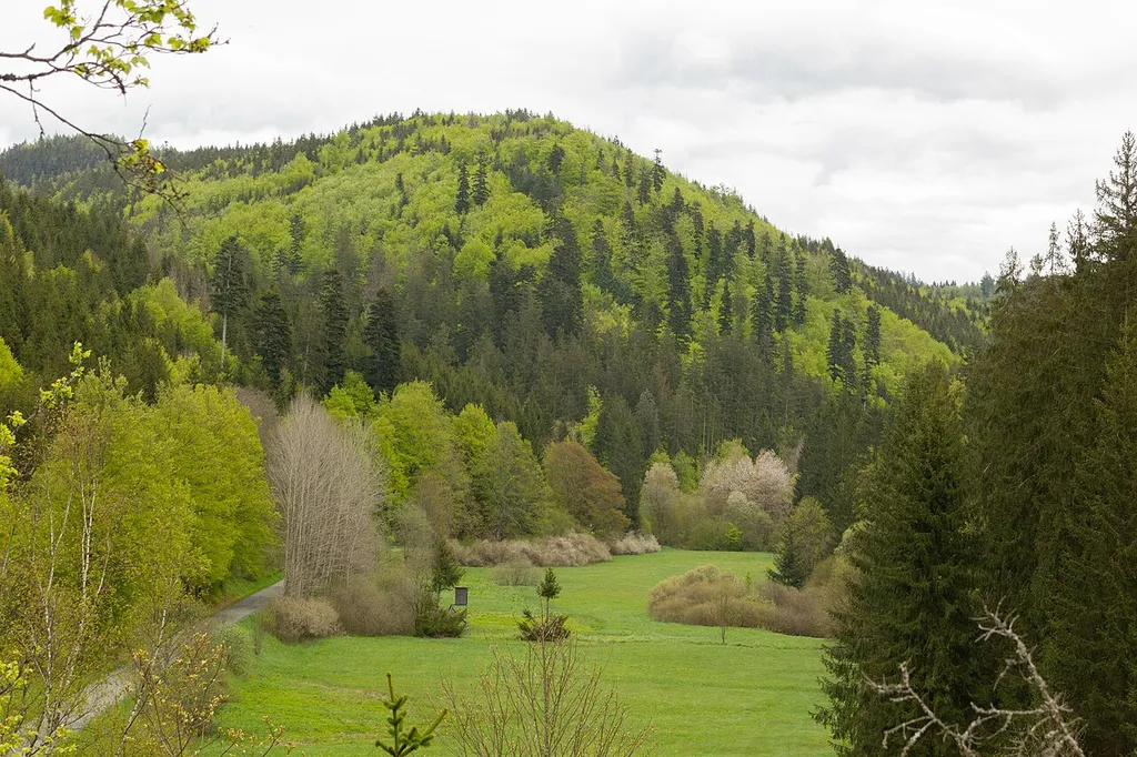 Täler und Rodungsinseln im Frankenwald mit Geroldsgrüner Forst