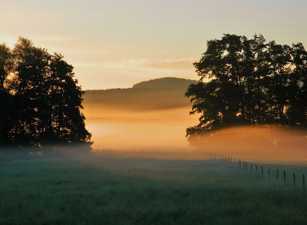 Fog in the morning at "Habighorster Wiesental" nature reserve, North Rhine-Westphalia (Germany)