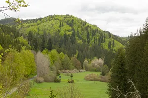 Täler und Rodungsinseln im Frankenwald mit Geroldsgrüner Forst