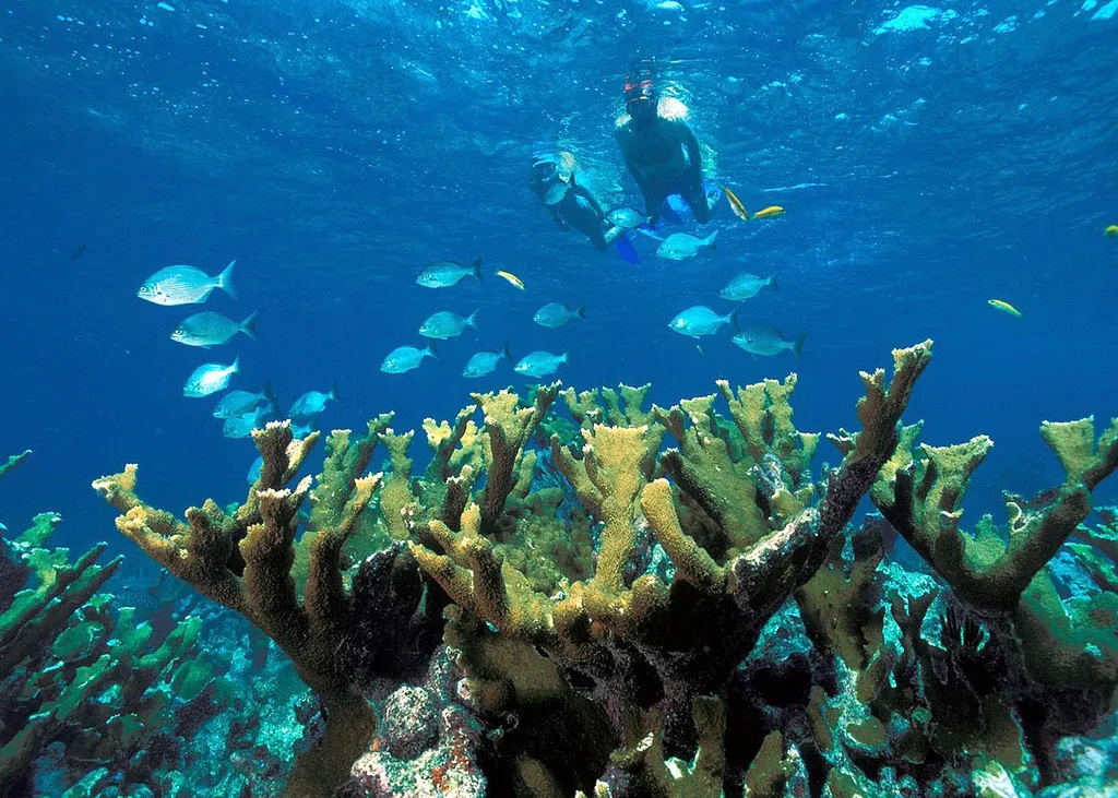 Biscayne National Park