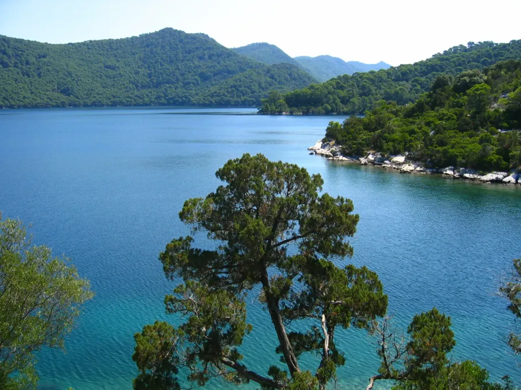 Mljet
