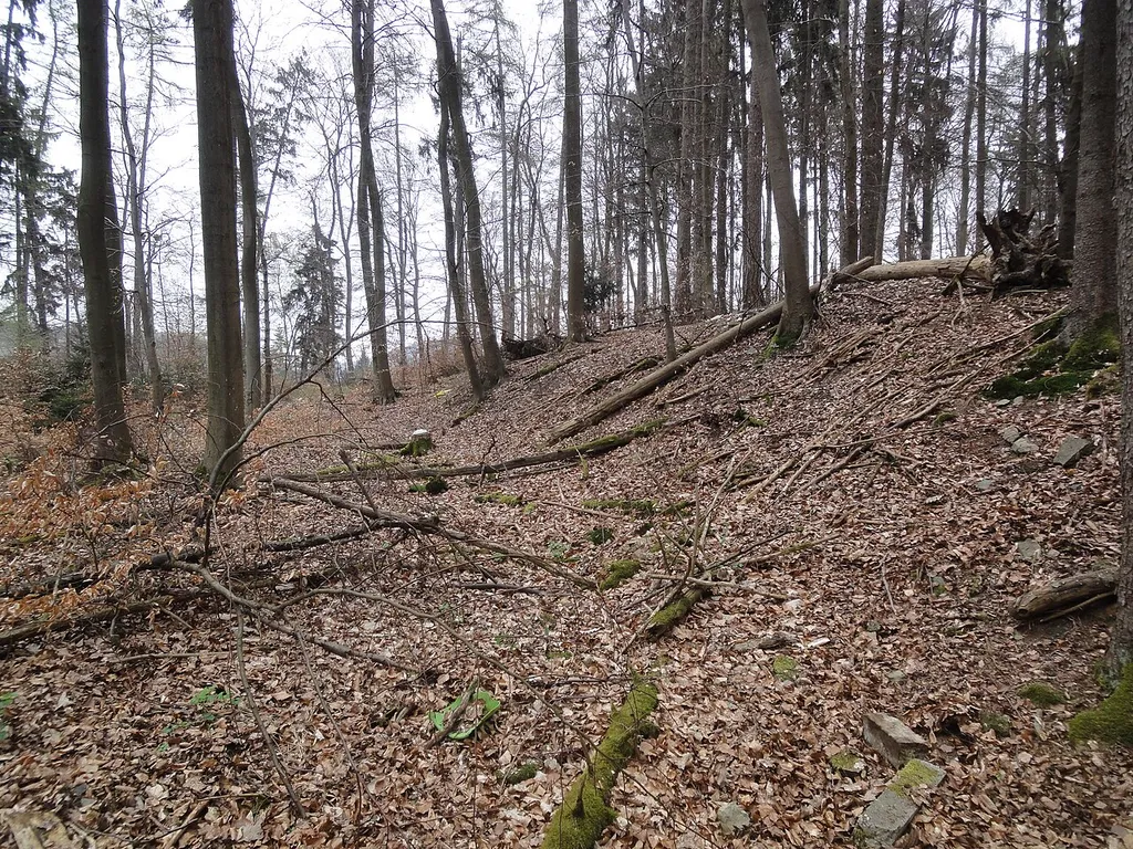 Westteil der Wallanlage Burg Rambach