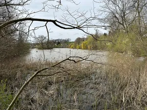 Hofteich Frankenhausen
