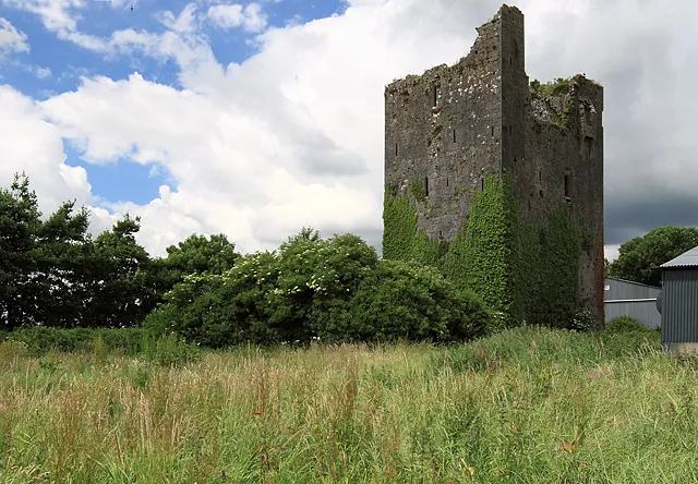Castles of Munster: Ballindoney, Tipperary This four storey tower whose end walls continue upwards a stage further, is first mentioned in 1547. Its north end wall contains a large fifth storey room having a NE angle loop, and a machicolation over the entrance doorway on the east side. (both visible in the photo).