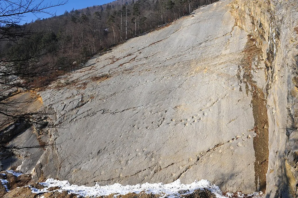 Brachiosaur tracks in a stone quarry; Oberdorf/Lommiswil, Solothurn, Switzerland.
