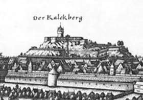 Burg Lüneburg