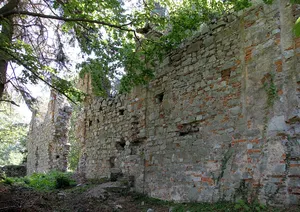 Klosterruine Landsee