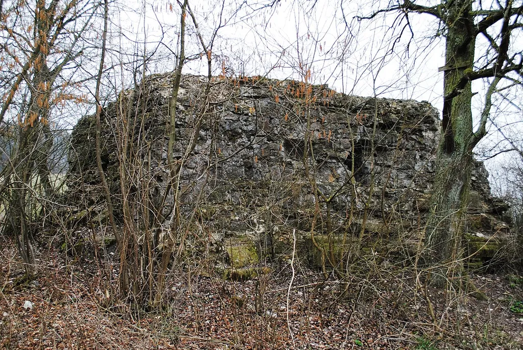 Burgruine