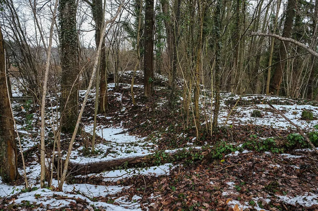 Place of the vanished castle Baumgarten, Eriskirch-Oberbaumgarten, county Bodenseekreis, Germany