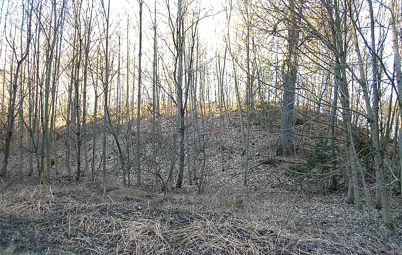 Burgstall "im Viehtrieb" bei Straßberg (Stadt Bobingen, Landkreis Augsburg, Bayerisch-Schwaben). Die Hauptburg von Südosten. Eigene Aufnahme, Feb. 2008 / Former castle or hill fort "im Viehtrieb" near Straßberg (Bobingen near Augsburg, Bavaria, Germany). The central castle from the south east. Own photo, Feb. 2008