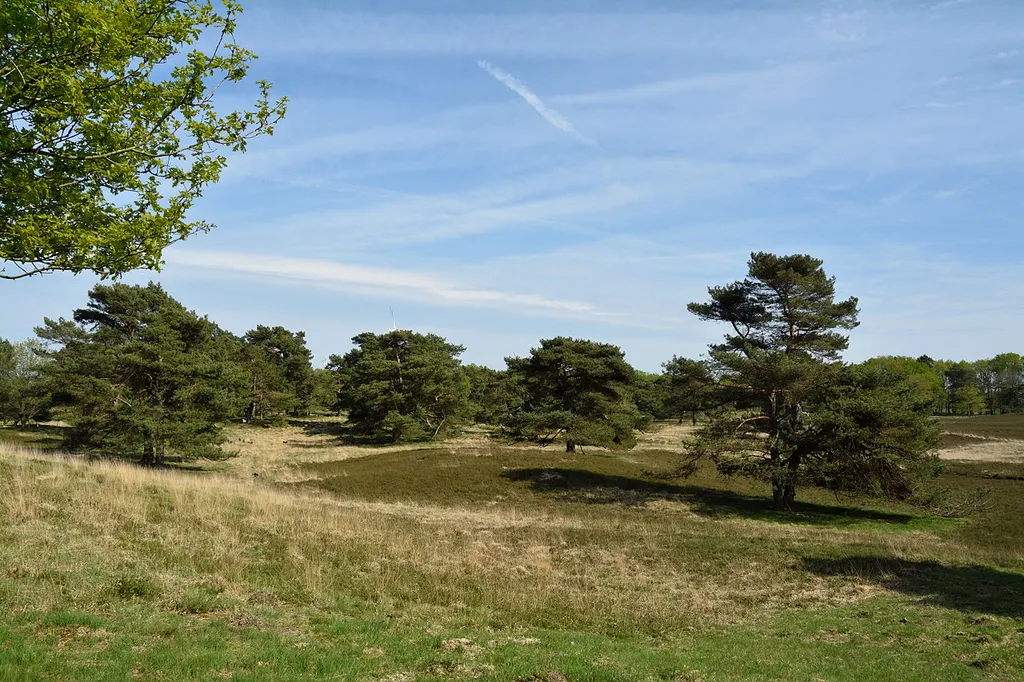 This image was uploaded as part of Wiki Loves Earth 2015.